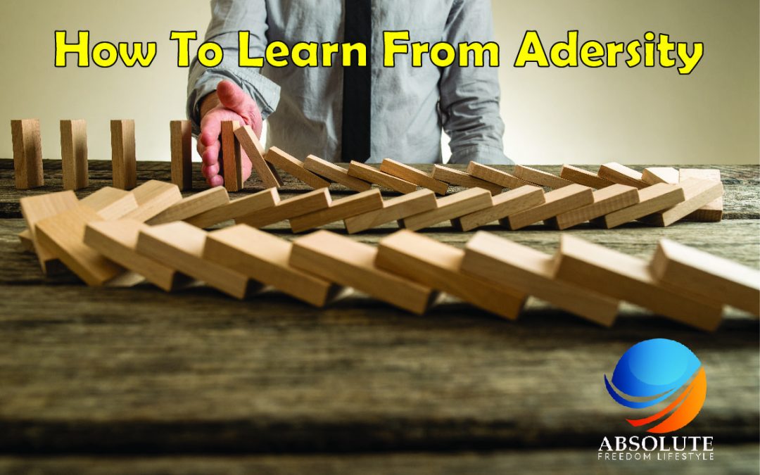 #3 How to Learn from Adversity